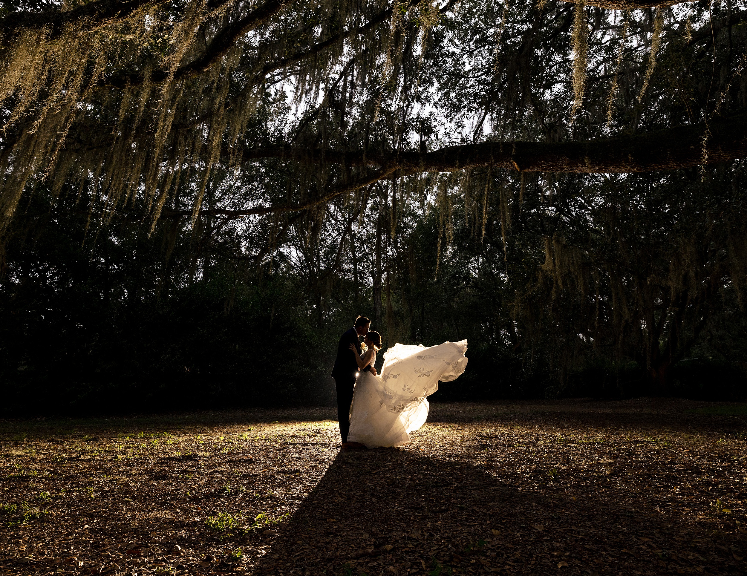 Newlyweds kiss while standing under tall oak trees at night with the train blowing in the wind behind her