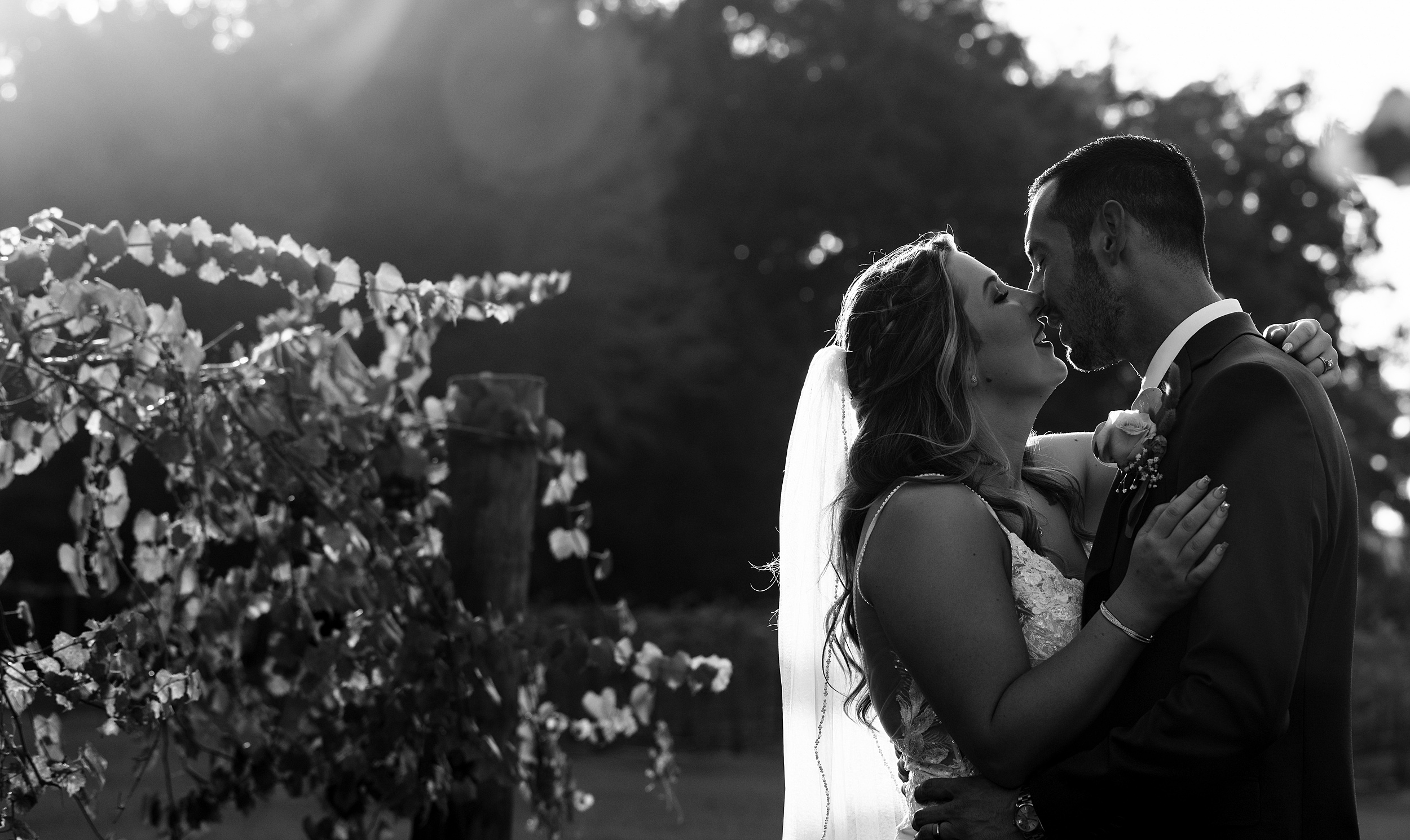 NEwlyweds lean in for a kiss in a vineyard at sunset