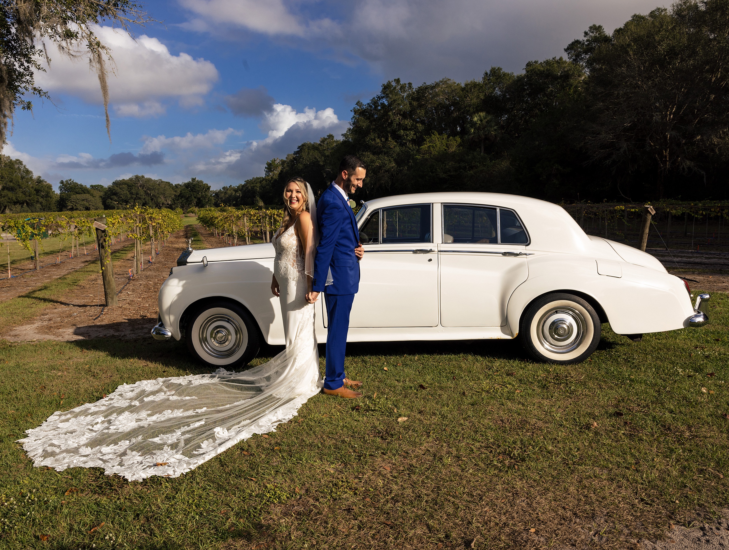 Newlyweds stand back to back holding hands in a vineyard with a vintage white car