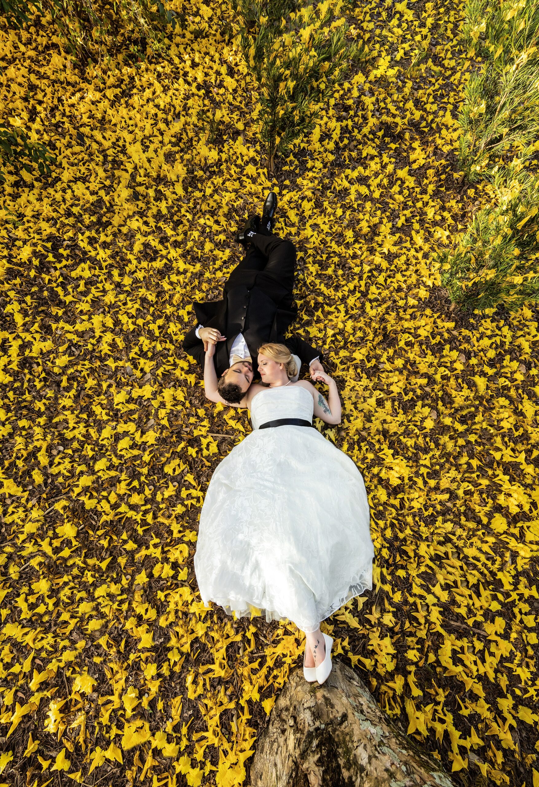 Newlyweds lay head to head in a bed of yellow leaves under a tree at their leu gardens wedding